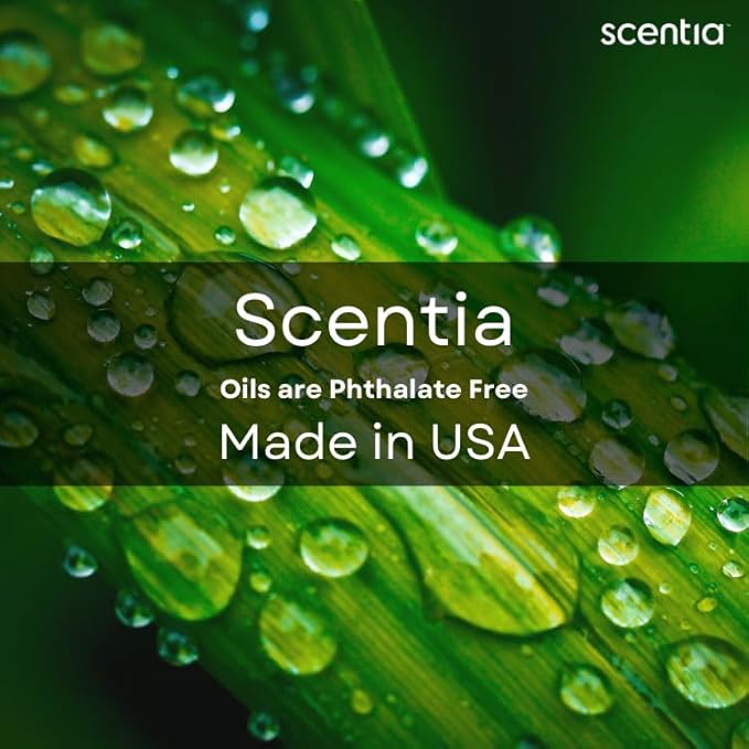 Scentia Hotel Diffuser Oil Inspired by 5-Star Hotel Scent - 500 ml 16.9 fl oz - Fragrance Oil Blend Jasmine, Bergamot & Fresh Marine Notes for Aromatherapy Diffusers and Humidifiers - Cabana