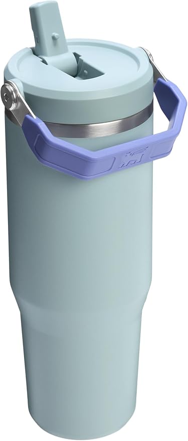 Stanley IceFlow 2.0 Flip Straw Tumbler with Handle 30 oz | Twist On Lid and Flip Up Straw | Leak Resistant Water Bottle | Insulated Stainless Steel | BPA-Free | Exclusive Blue Cactus