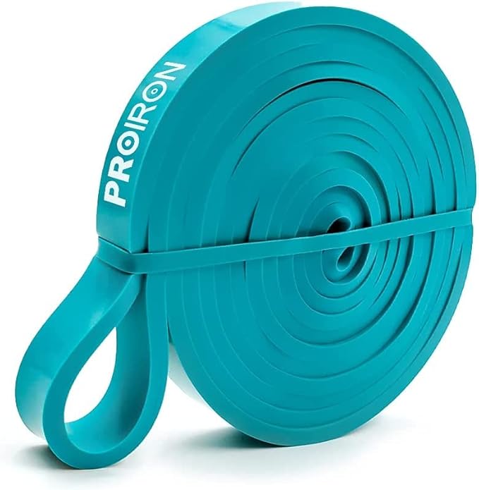 PROIRON Resistance Bands Pull Up Assistance Bands Comfortable Anti-Slip Exercise Bands for Pull up Dip Squat Gym Workout Physical Therapy Stretch Bands for Men & Women - Length 40inch (100cm)