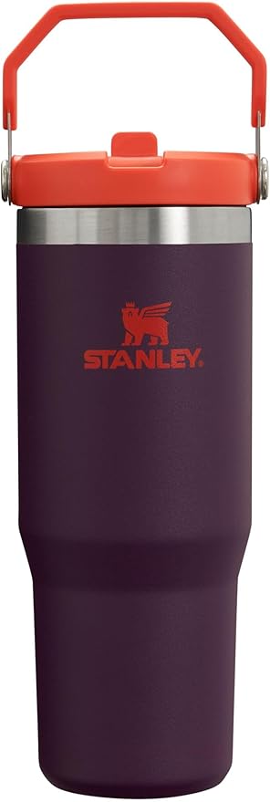 Stanley IceFlow Flip Straw Tumbler with Handle 30 oz | Twist On Lid and Flip Up Straw | Leak Resistant Water Bottle | Insulated Stainless Steel |BPA-Free | Plum
