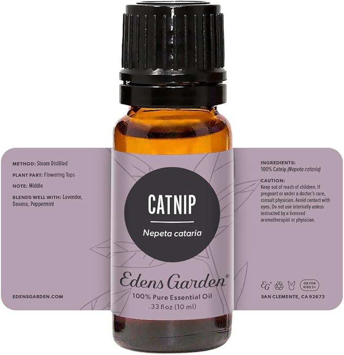Edens Garden Catnip Essential Oil, 100% Pure Therapeutic Grade (Undiluted Natural/Homeopathic Aromatherapy Scented Essential Oil Singles) 10 ml