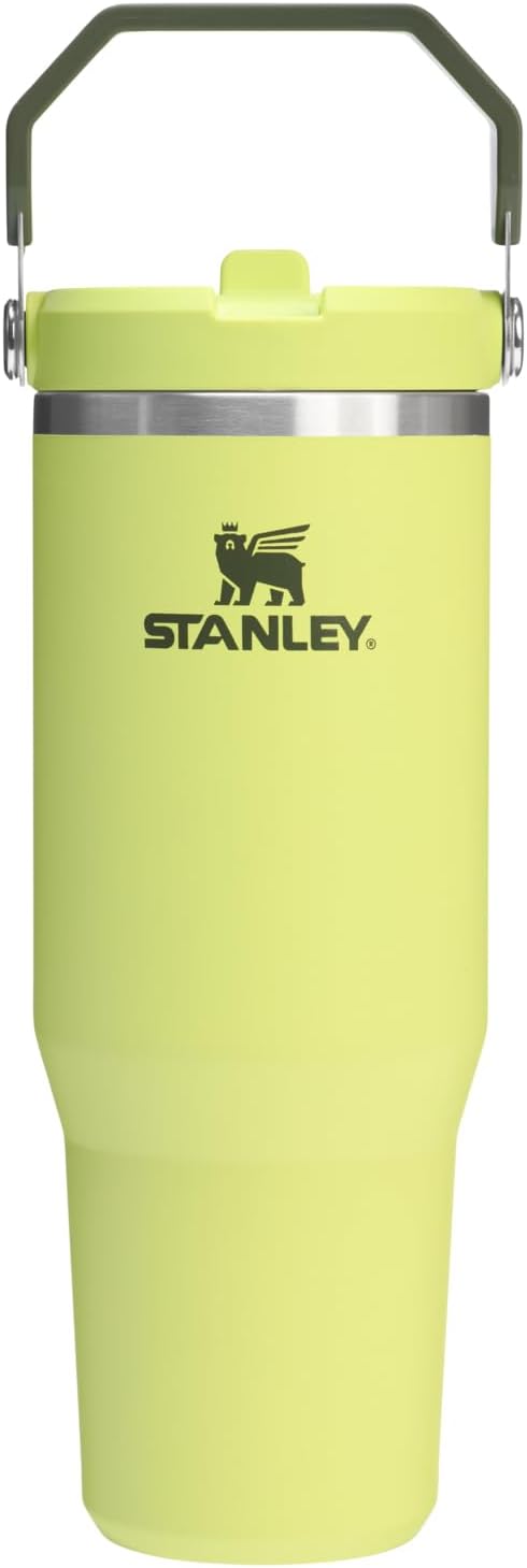 Stanley IceFlow 2.0 Flip Straw Tumbler with Handle 30 oz | Twist On Lid and Flip Up Straw | Leakproof Water Bottle | Insulated Stainless Steel | BPA-Free | Prickly Pear