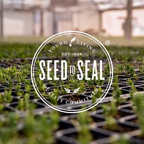 Young Living Bergamot Essential Oil 15ml | Aromatherapy Diffuser | Organic, Vegan & Gluten Free | Relaxing & Calming | Has a Cleansing & Purifying Properties | Wellness Support