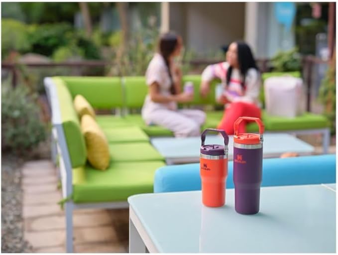 Stanley IceFlow Flip Straw Tumbler with Handle 20 oz | Twist On Lid and Flip Up Straw | Leak Resistant Water Bottle | Insulated Stainless Steel |BPA-Free | Tigerlily Plum