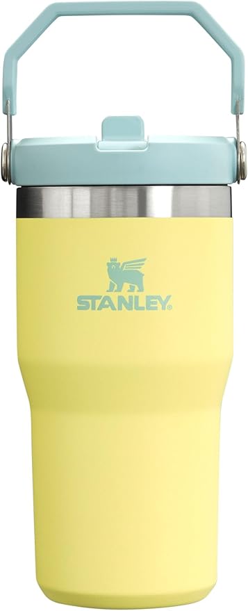 Stanley IceFlow Flip Straw Tumbler with Handle 20 oz | Twist On Lid and Flip Up Straw | Leak Resistant Water Bottle | Insulated Stainless Steel |BPA-Free | Pomelo