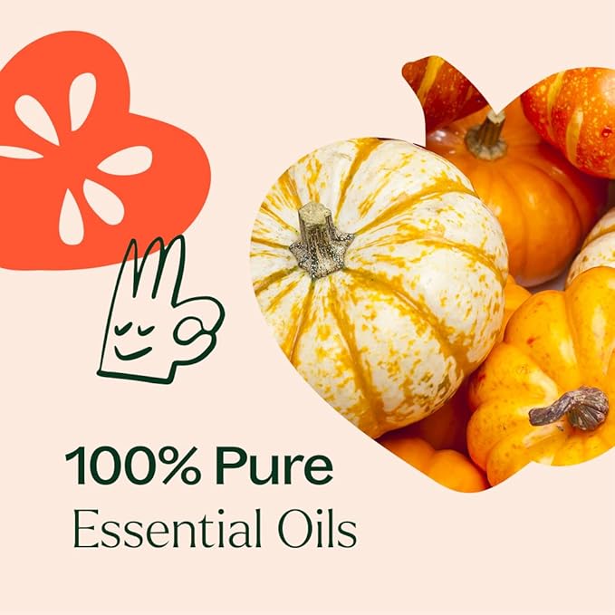 Plant Therapy Pumpkins & Porch Swings Fall Essential Oil Blend Set, Fill Your Home with Cozy, Fall-Inspired Aromas, Three Exclusive & Limited Blends, Cozy Comfort in Every Drop