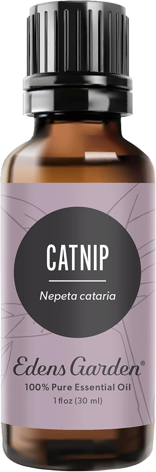 Edens Garden Catnip Essential Oil- 100% Pure Premium Grade, Undiluted, Natural, Therapeutic, Aromatherapy, The Best for Diffuser, Skin, Face, Humidifiers 30 ml (1 fl oz)