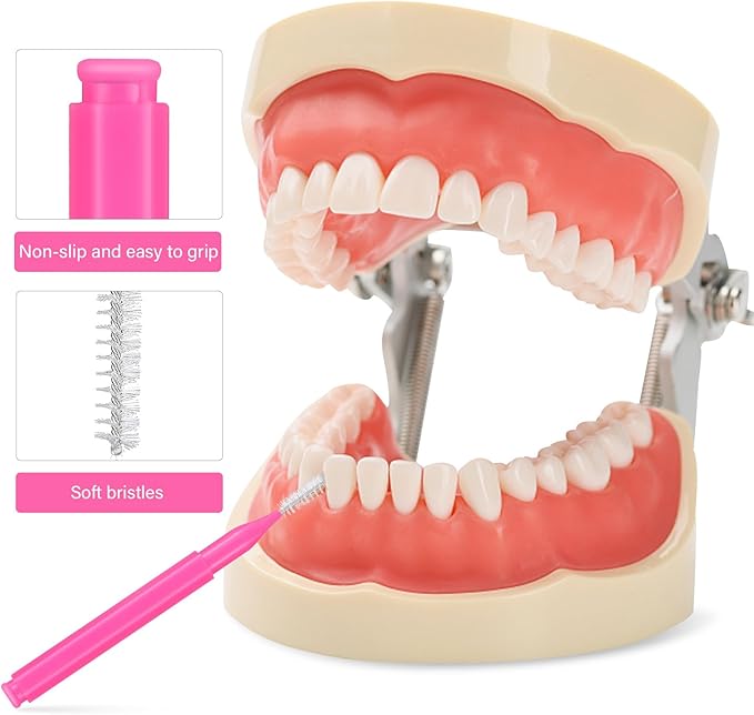 Interdental Brush 100Pcs Tooth Flossing Head Brushes Tooth Floss Picks Refill Flosser Sticks Toothpick Tooth Cleaning Tool