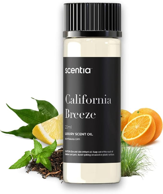 Hotel Diffuser Oil Inspired by The Delano Beach Club Hotel Scent - 20 mL 0.67 fl oz - Essential Oil Blend Orange, Green Tea & Jasmine for Aromatherapy Diffusers - California Breeze