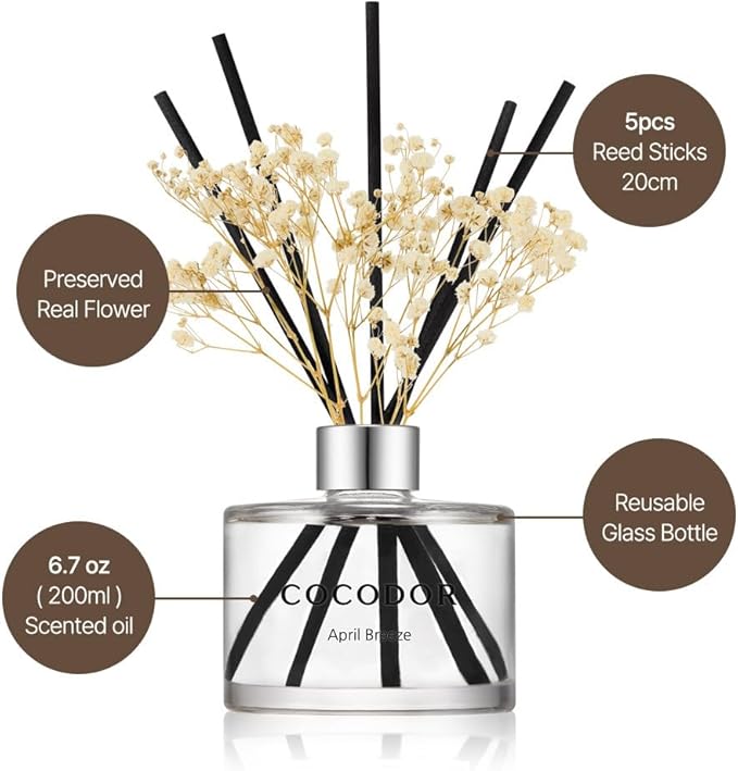 COCODOR Preserved Flower Reed Diffuser/Cedar Wood/6.7oz/1Pack / Home Fragrance Scent Essential Oil Stick Diffuser for Bedroom Bathroom Home Décor