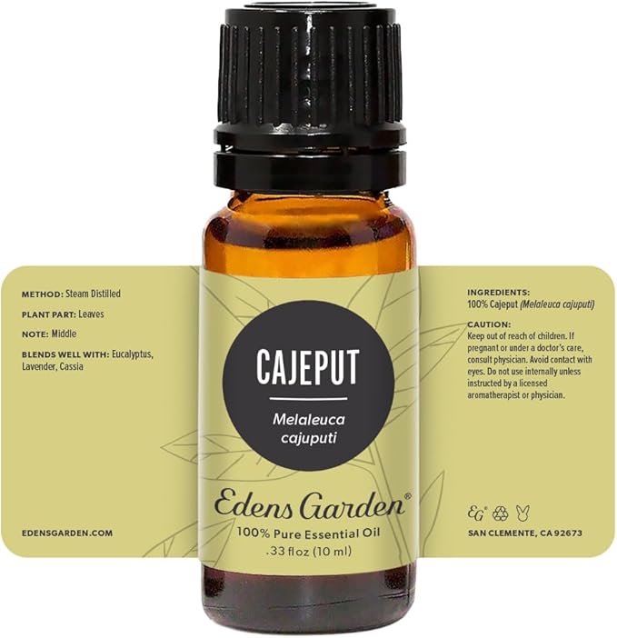 Edens Garden Cajeput Essential Oil, 100% Pure Therapeutic Grade (Undiluted Natural/Homeopathic Aromatherapy Scented Essential Oil Singles) 10 ml