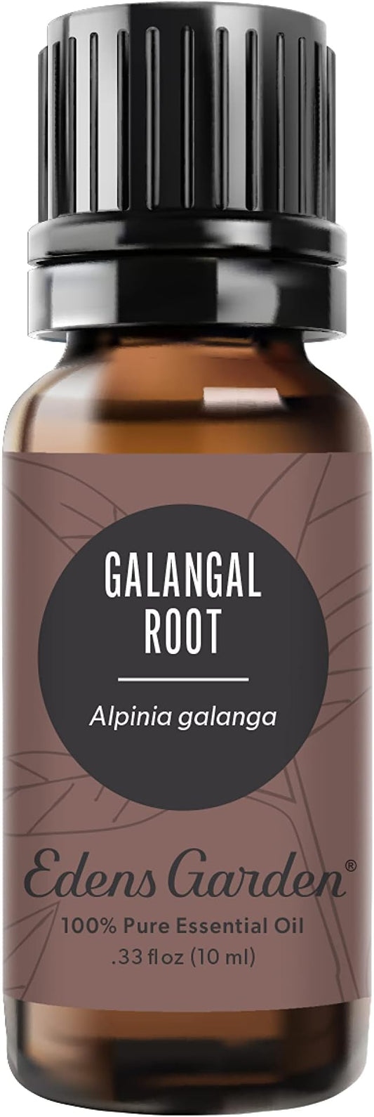 Edens Garden Galangal Root Essential Oil, 100% Pure Therapeutic Grade (Undiluted Natural/Homeopathic Aromatherapy Scented Essential Oil Singles) 10 ml
