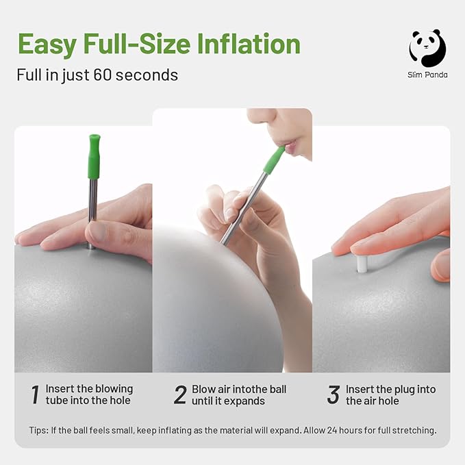 Slim Panda Pilates Ball, 9 Inch Small Exercise Ball, Anti Burst Mini Yoga Ball for Stability, Workout, Barre, Core Strength, Physical Therapy, Balance, Stretching