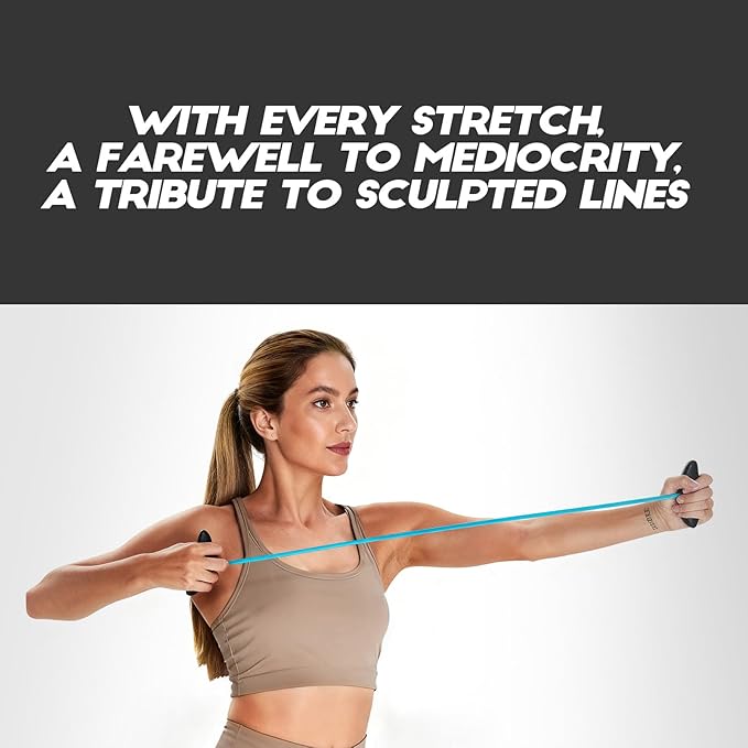 Resistance Bands with Handles - Home Fitness Equipment for Upper Body Toning, 20 lb Exercise Bands to Improve Mobility & Stability, Portable Resistance Bands for Women Men