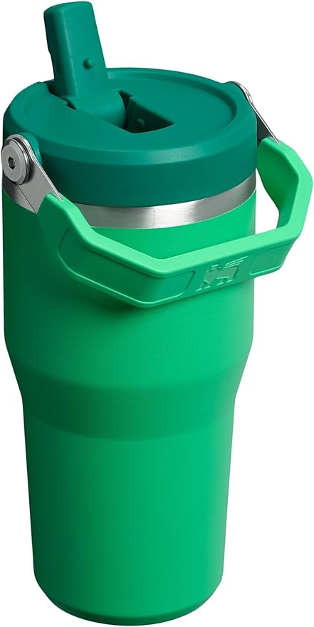 Stanley IceFlow 2.0 Flip Straw Tumbler with Handle 20 oz | Twist On Lid and Flip Up Straw | Leak Resistant Water Bottle | Insulated Stainless Steel | BPA-Free | Meadow