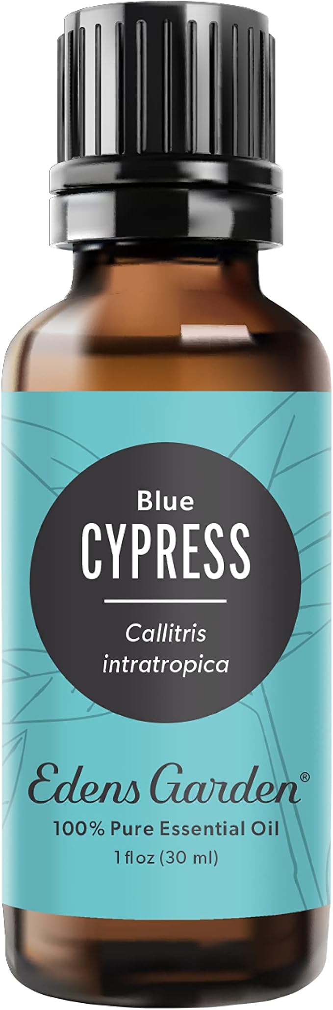 Edens Garden Cypress- Blue Essential Oil- 100% Pure Premium Grade, Undiluted, Natural, Therapeutic, Aromatherapy, The Best for Diffuser, Skin, Candle, Kid Safe 30 ml (1 fl oz)