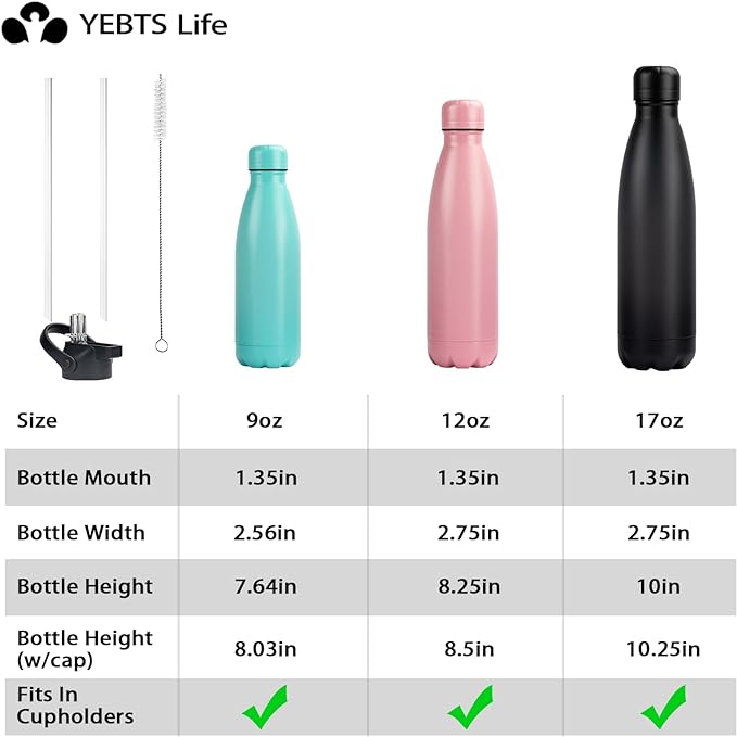 Insulated Water Bottle,17oz Stainless Steel Water Bottles with straw lid, Metal Sports Water Bottles for Boys,Girls, Double Wall Vacuum BPA-Free Flask for School, Sports(SLIVER)