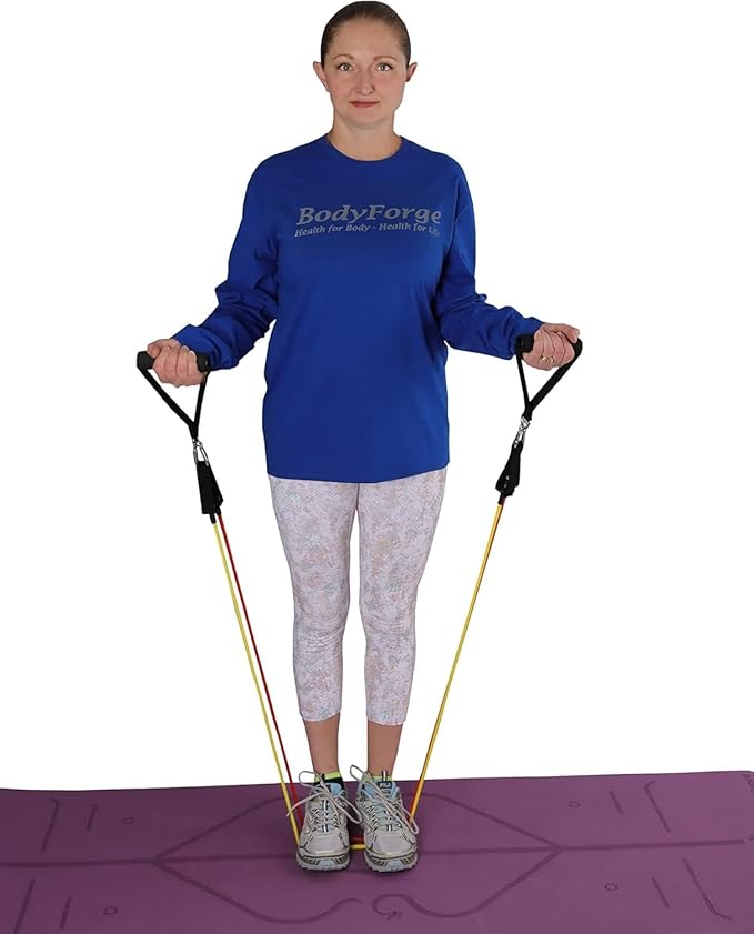 BodyForge Resistance Bands, Exercise Bands, Resistance Bands for Working Out, Work Out Bands with Handles for Men and Women Fitness, Strength Training Home Gym Equipment