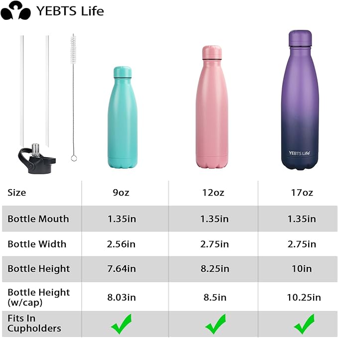 Insulated Water Bottle, 2 Pack-17oz Stainless Steel Water Bottles with straw lid, Metal Sports Water Bottles for Boys,Girls, Double Wall Vacuum BPA-Free Flask for School, Sports (Purple-Oasis)