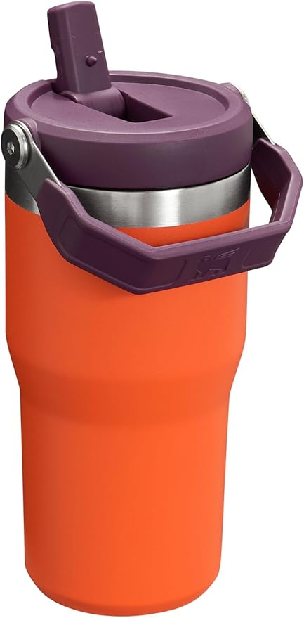 Stanley IceFlow Flip Straw Tumbler with Handle 20 oz | Twist On Lid and Flip Up Straw | Leak Resistant Water Bottle | Insulated Stainless Steel |BPA-Free | Tigerlily Plum