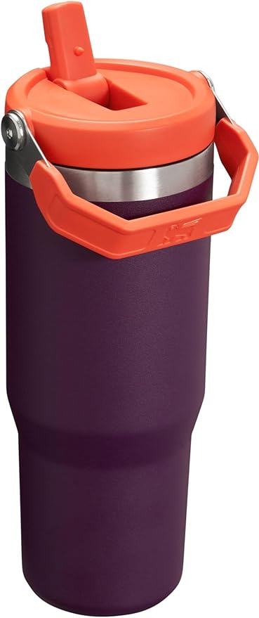 Stanley IceFlow Flip Straw Tumbler with Handle 30 oz | Twist On Lid and Flip Up Straw | Leak Resistant Water Bottle | Insulated Stainless Steel |BPA-Free | Plum