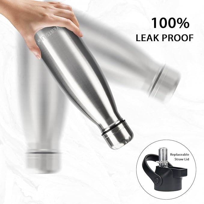 Insulated Water Bottle, 2 Pack-12oz Stainless Steel Water Bottles with straw lid, Metal Sports Water Bottles for Boys,Girls, Double Wall Vacuum BPA-Free Flask for School,Sports & Travel-Silver