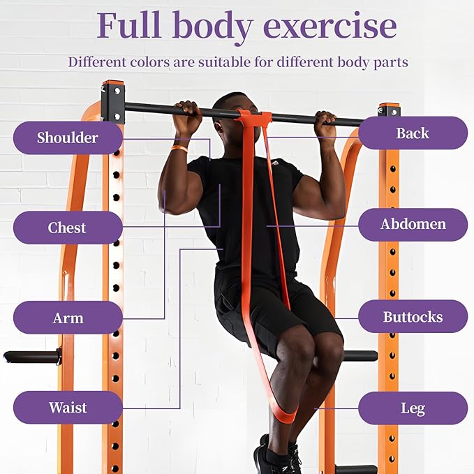 Resistance Bands for Working Out, Pull Up Assistance Bands, Exercise Workout Bands for Men & Women, Gym Bands with Door Anchor & Handle, Stretching Bands for Physical Therapy, Muscle Training