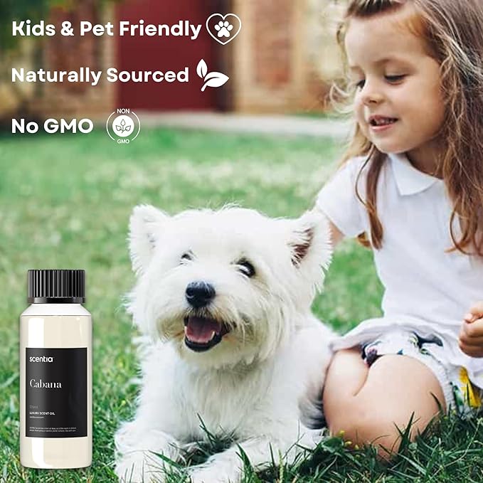 Scentia Hotel Diffuser Oil Inspired by 5-Star Hotel Scent - 120 mL 4.06 fl oz - Essential Oil Blend Botanical Jasmine, Bergamot & Fresh Marine Notes for Aromatherapy Diffusers - Cabana