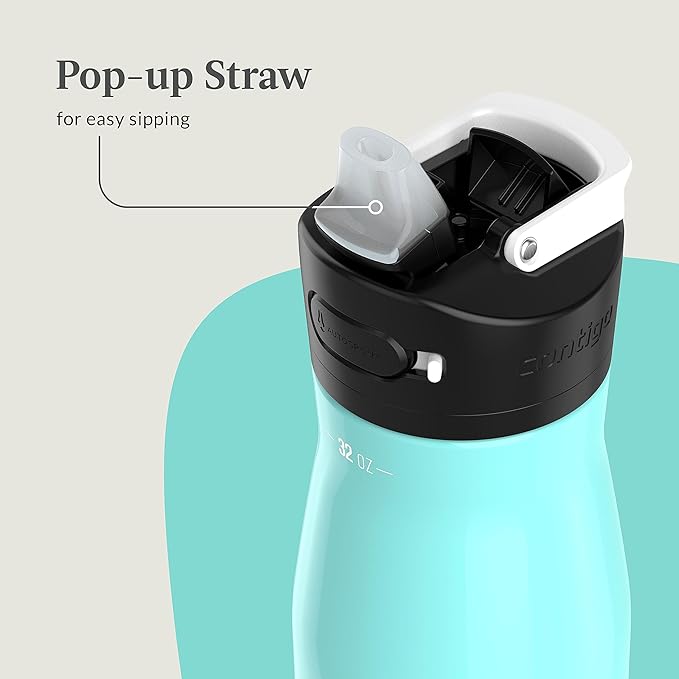 Contigo Ashland Beverage Water Bottles 32oz (Pack of 1) Jade Vine