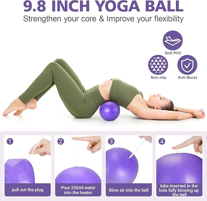 Ideal Swan Pilates Ring Essentials Kit for Women, Home Workout Equipment Set with 9.8” Ball, Resistance Bands, Accessories, Pilates Set for Legs Arms and Thighs（13 PCS）