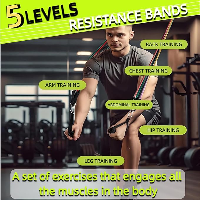 Exercise Bands Resistance Bands Set,Resistance Bands for Physical Therapy,Exercise Bands with Handles,Workout Bands Resistance for Women & Men(150 LBS)