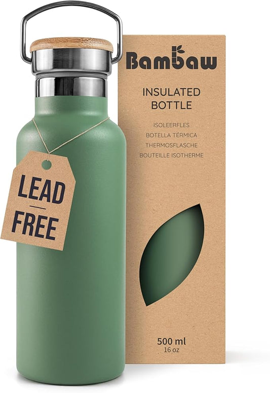 Bambaw Insulated 16 oz Stainless Steel Water Bottle with Handle - Green Travel Bottle
