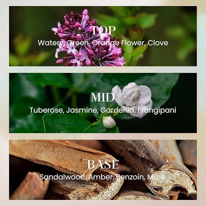 M&SENSE 6.3 oz Large Reed Diffuser Set | Gardenia Scent Oil Diffuser with Sticks | Hotel Collection Non-Toxic Essential Oil |for Bedroom Bathroom Living Room