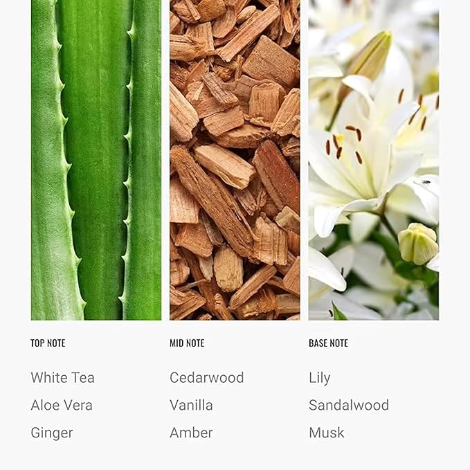 Dream on Essential Oil Scent 500mL - Luxury Home Aromatherapy Diffuser Oil - Formulated with Hints of Bright White Tea, Sweet Vanilla, & Earthy Cedar - Inspired by One Hotel Miami Beach