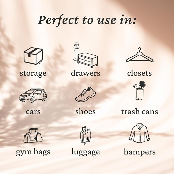 Fresh Wave Lavender Odor Eliminating & Deodorizing Packs | Bag of 6 | Safer Odor Relief for Small Spaces | Natural Plant-Based Odor Eliminator | Odor Absorbers for Home