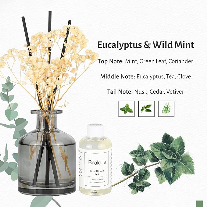 Brakula Reed Diffuser Set, 6.09 fl oz (180 ml)- Eucalyptus & Wild Mint with 8 Reed Sticks, Home Fragrance Reed Diffuser for Bathroom Shelf Decor