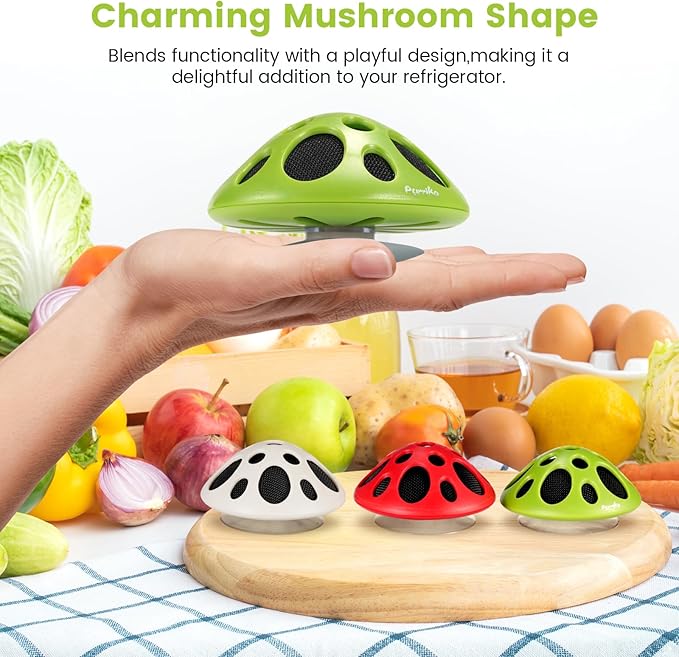 Purriko Fridge Deodorizer,Last up to 10 Years,Refrigerator Odor Eliminator,Fridge Smell Eliminator,More Effective than Baking Soda and Bamboo Charcoal Air Purifying Bags,Green