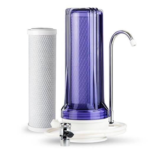 iSpring CKC1C Countertop Drinking Water Filtration System with Carbon Filter, 2.5" x 10", Clear