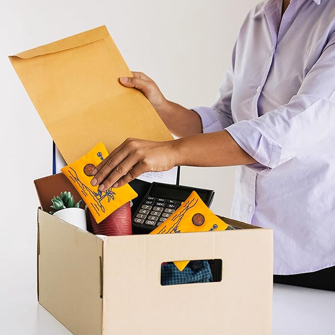 200G x 3PCS Rechargeable Desiccant Packs for Storage, Reusable Dehumidifier Bags Color Indicating Silica Gel Desiccant Packets Moisture Absorbers for Safe Luggage 3D Filaments Electronics