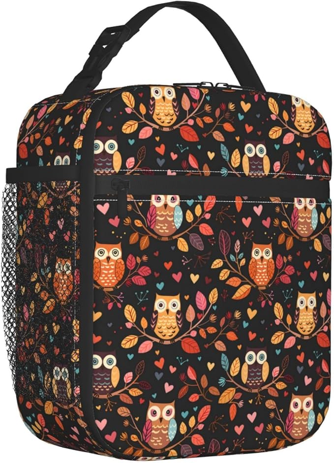 Cute Owl Lunch Box for Women Adults Kids, Insulated Cooler Lunch Bag for Picnic, School, Office, Travel, Work, Portable Reusable Polyester Tote Thermal Lunch Bags (Colorful Owl)