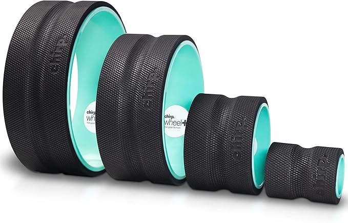Chirp Wheel Foam Roller – Targeted Back & Neck Relief, Lumbar Spine Stretcher, Spinal Decompression Back Stretcher, Massage Roller with Density Foam for Physical Therapy, Supports 500lbs, 4-Pack Mint