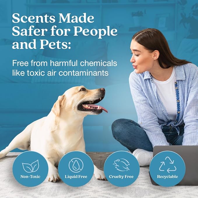 Enviroscent Non Toxic Air Freshener Plug-in Home Fragrance Last 45+ Days | Kit includes 1 Refillable Plug In Warmer & 1 Scent Refill (Rainwater & Bamboo)