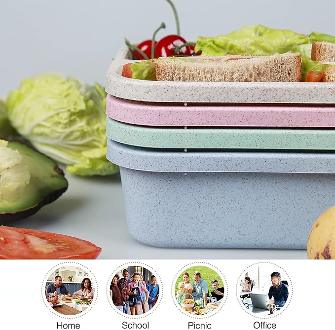 shopwithgreen 8 Pack Bento Lunch Box for Kids, 4 Compartment Meal Prep Lunch Containers for Adults, Reusable Microwave and Dishwasher Safe Food Storage Container for School Work Travel Camp, BPA Fre