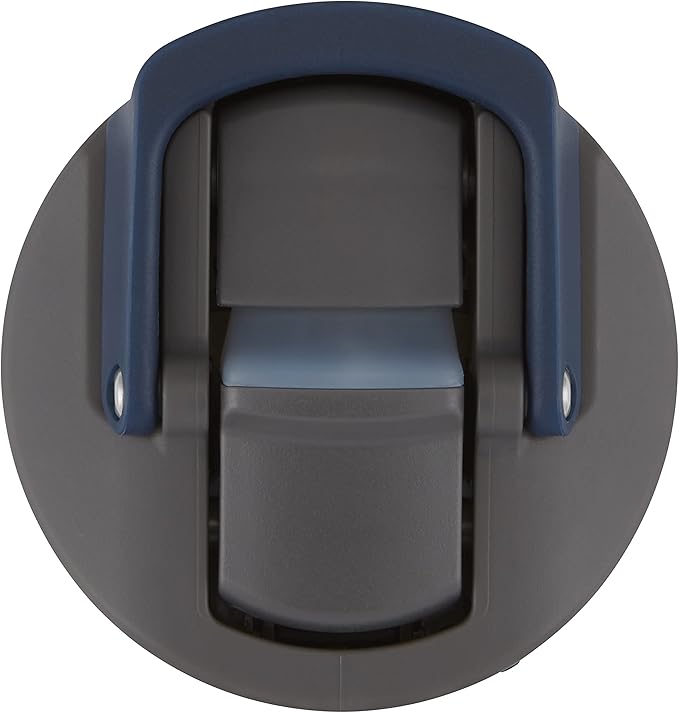 Contigo Ashland 2.0 Leak-Proof Water Bottle with Lid Lock and Angled Straw, Dishwasher Safe, Interchangeable Lid, 24oz, Blueberry