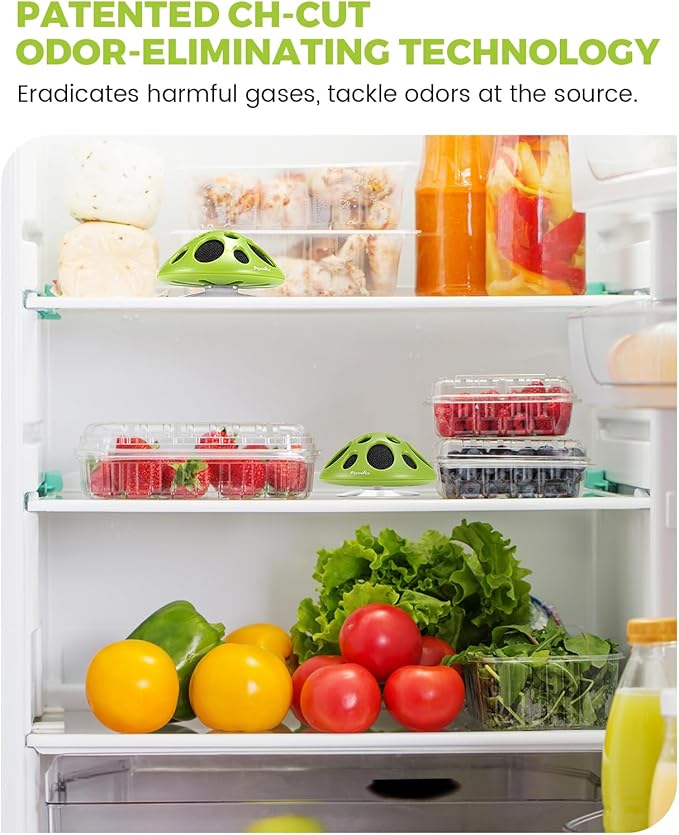 Purriko Fridge Deodorizer,Last up to 10 Years,Refrigerator Odor Eliminator,Fridge Smell Eliminator,More Effective than Baking Soda and Bamboo Charcoal Air Purifying Bags,Green