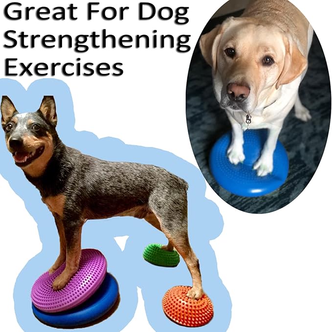 NEISHNG 3-Pack Stability Wobble Cushions with Hand Pumps, Kids Sensory Wiggle Seat for Classroom, Core Trainer Balance Disc for Gym and Home Workout (5 Color)