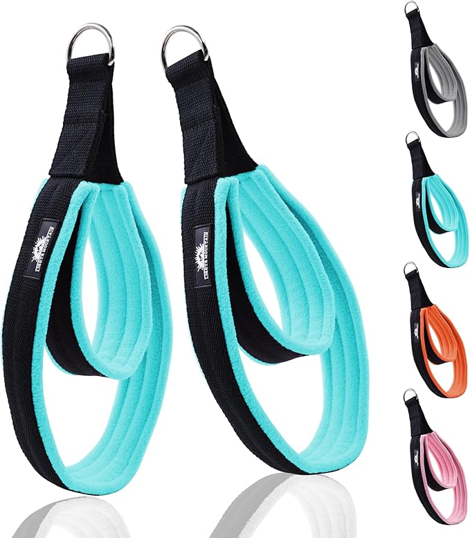 1 Pair Enhanced Pilates Double Loop Straps for Reformer, Thickened D-Ring Handle Straps, Yoga Exercise Accessories in 2 Lengths and Multicolor for Home Gym Workout