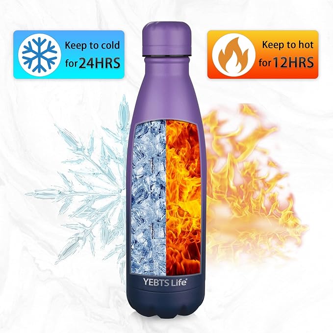 Insulated Water Bottle, 2 Pack-17oz Stainless Steel Water Bottles with straw lid, Metal Sports Water Bottles for Boys,Girls, Double Wall Vacuum BPA-Free Flask for School, Sports (Purple-Oasis)