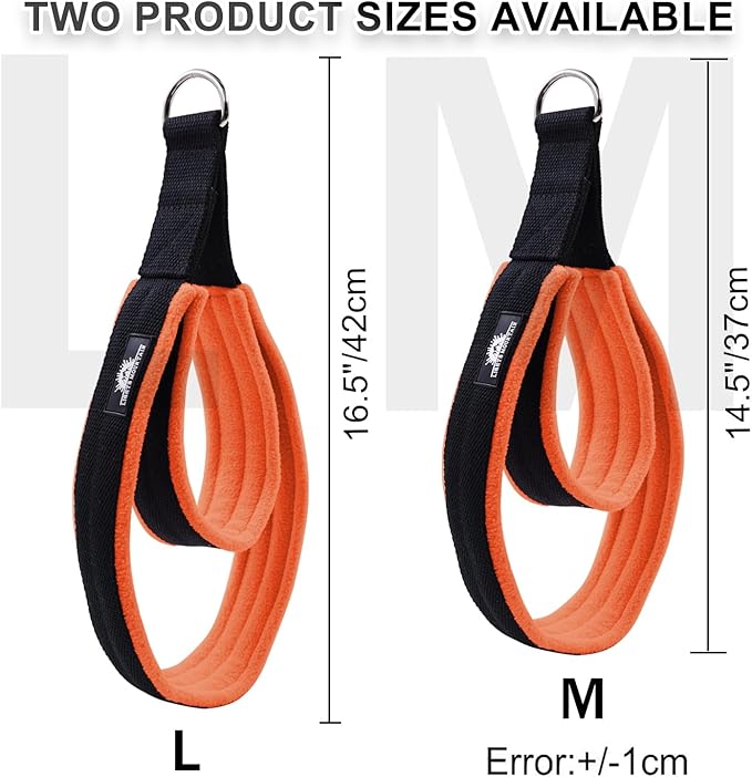 1 Pair Enhanced Pilates Double Loop Straps for Reformer, Thickened D-Ring Handle Straps, Yoga Exercise Accessories in 2 Lengths and Multicolor for Home Gym Workout