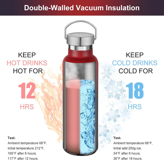 Neihepal 20 oz Insulated Water Bottles Bulk 4 Pack,Stainless Steel Double Wall Sport Bottle with Lid of Handle,Metal Reusable Thermoses Flask for School,Cyclists,Hikers,Gift (Dark Rainbow,Set of 4)